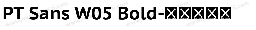 PT Sans W05 Bold字体转换